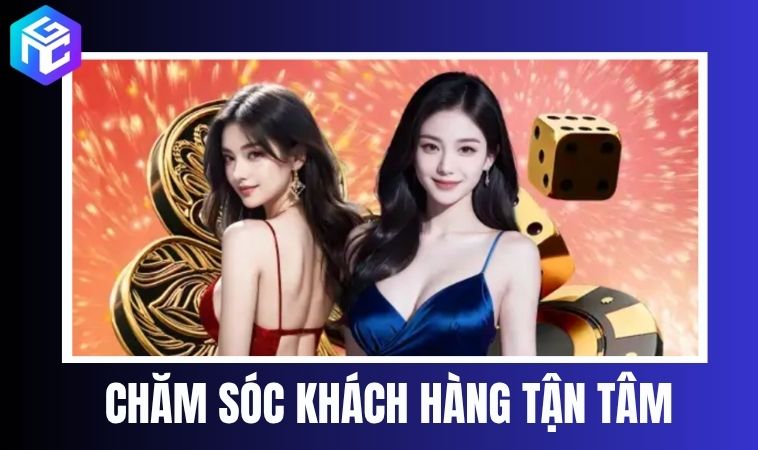 Chăm sóc khách hàng 24/7 – chuyên nghiệp và tận tâm