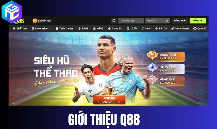 Q88 là ai? – Nơi hội tụ của đam mê