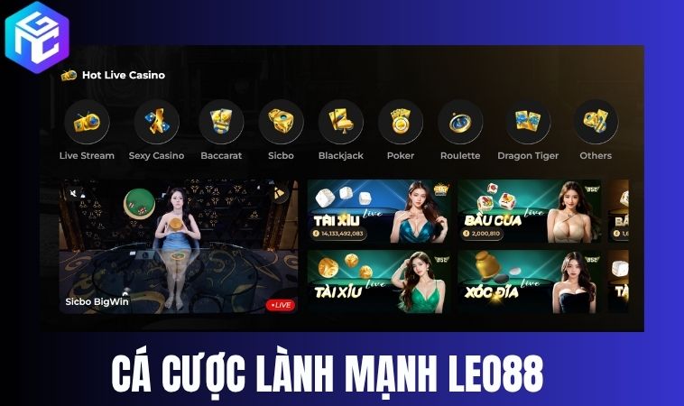 Trach nhiem va ca cuoc lanh manh